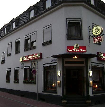 Hotel Zum Dicken Baum Mayen Dış mekan fotoğraf