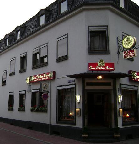 Hotel Zum Dicken Baum Mayen Dış mekan fotoğraf